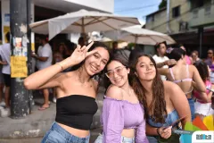 195-_ADE7316