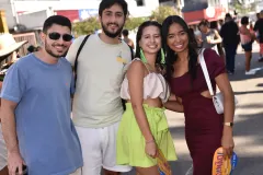 294-_ADE7520