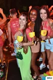 317-_ADE6777