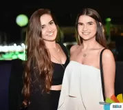 308-_ADE8115