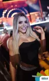 17-_ADE7707
