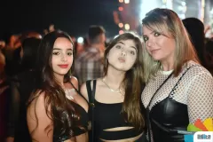 139-_ADE7085