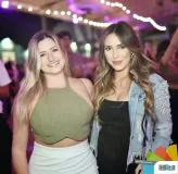 260-_ADE7441