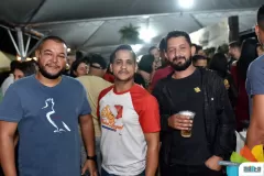 177-_ADE9313